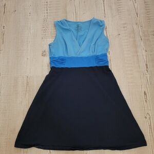 Patagonia Women's Margot Dress in Blue Colorblock Design